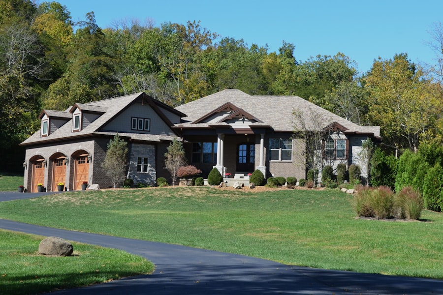 Professional lawn edging and sidewalk cleanup